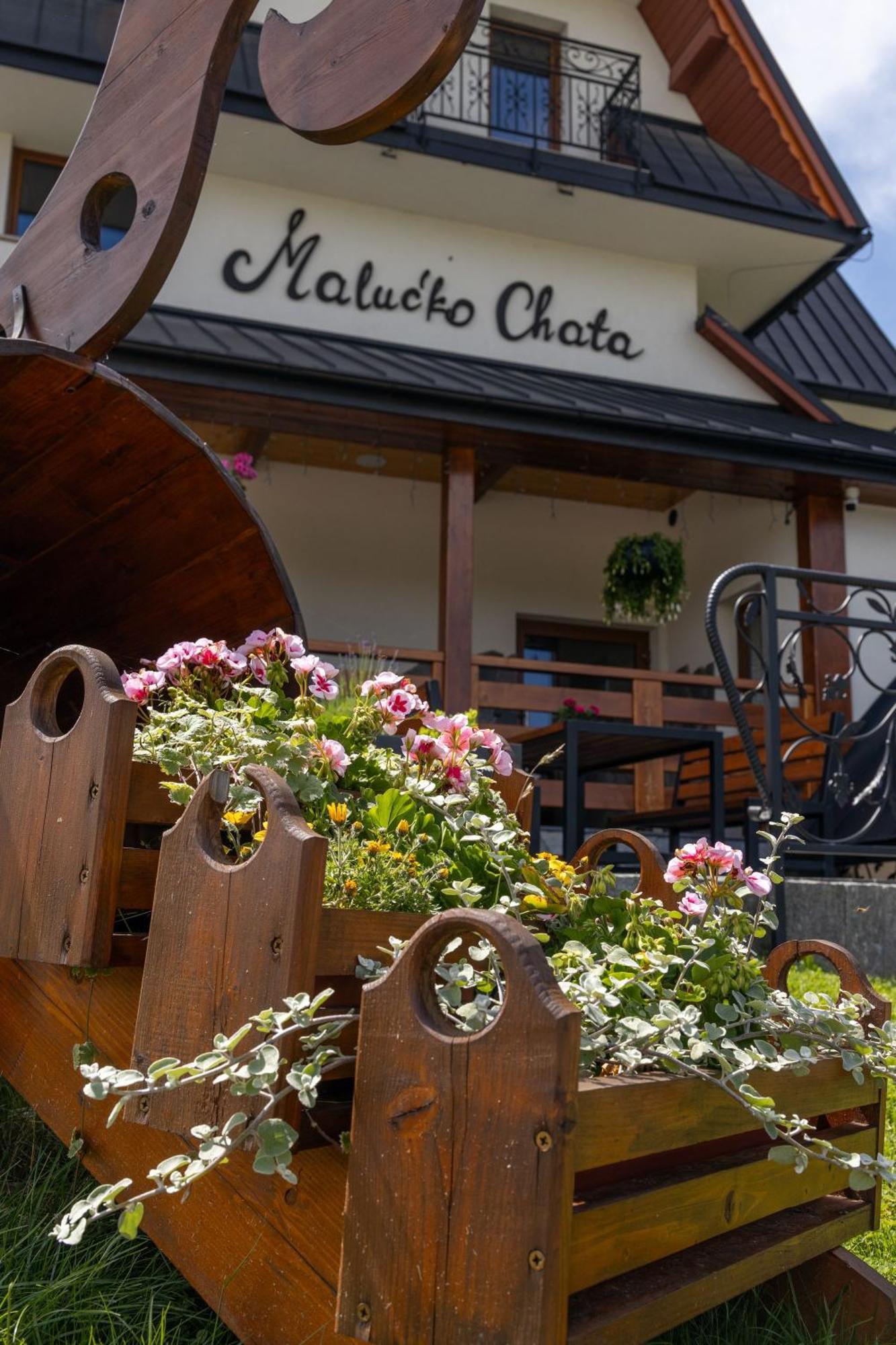 „Malucko Chata” Zakopane Exteriör bild