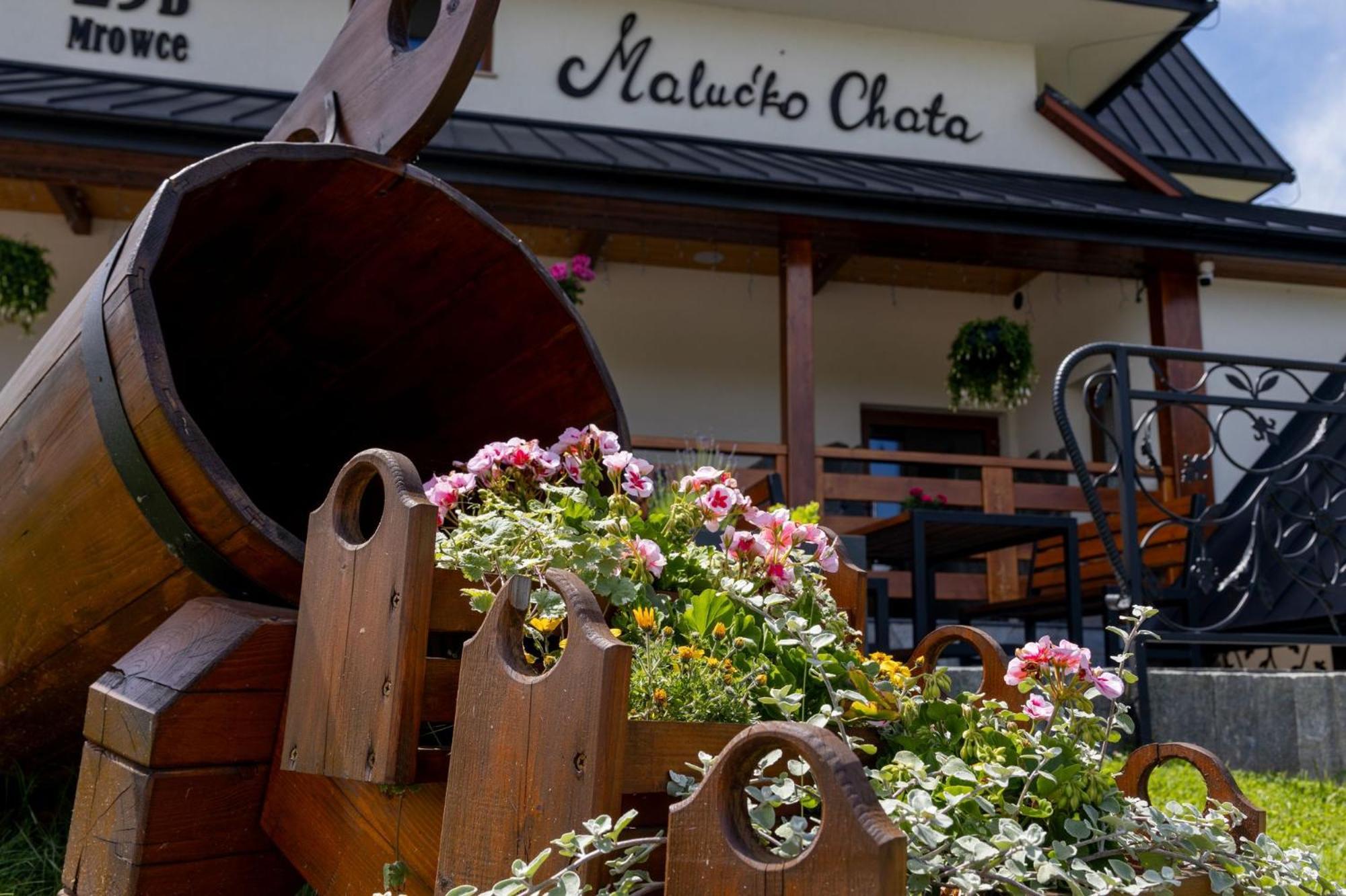 „Malucko Chata” Zakopane Exteriör bild